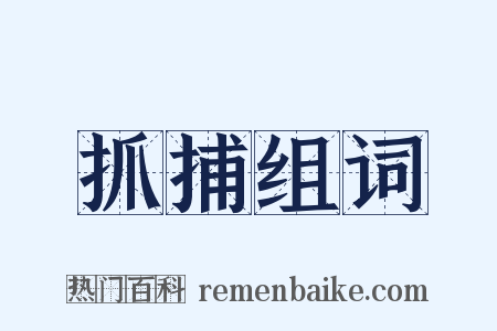 抓捕组词是什么意思的图片